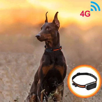 4G Ловно Куче GPS Тракер Нашийник За проследяване В реално Време Безплатно приложение за 60 Дни В режим на Готовност Водоустойчив За Кучета и Домашни любимци Локатор